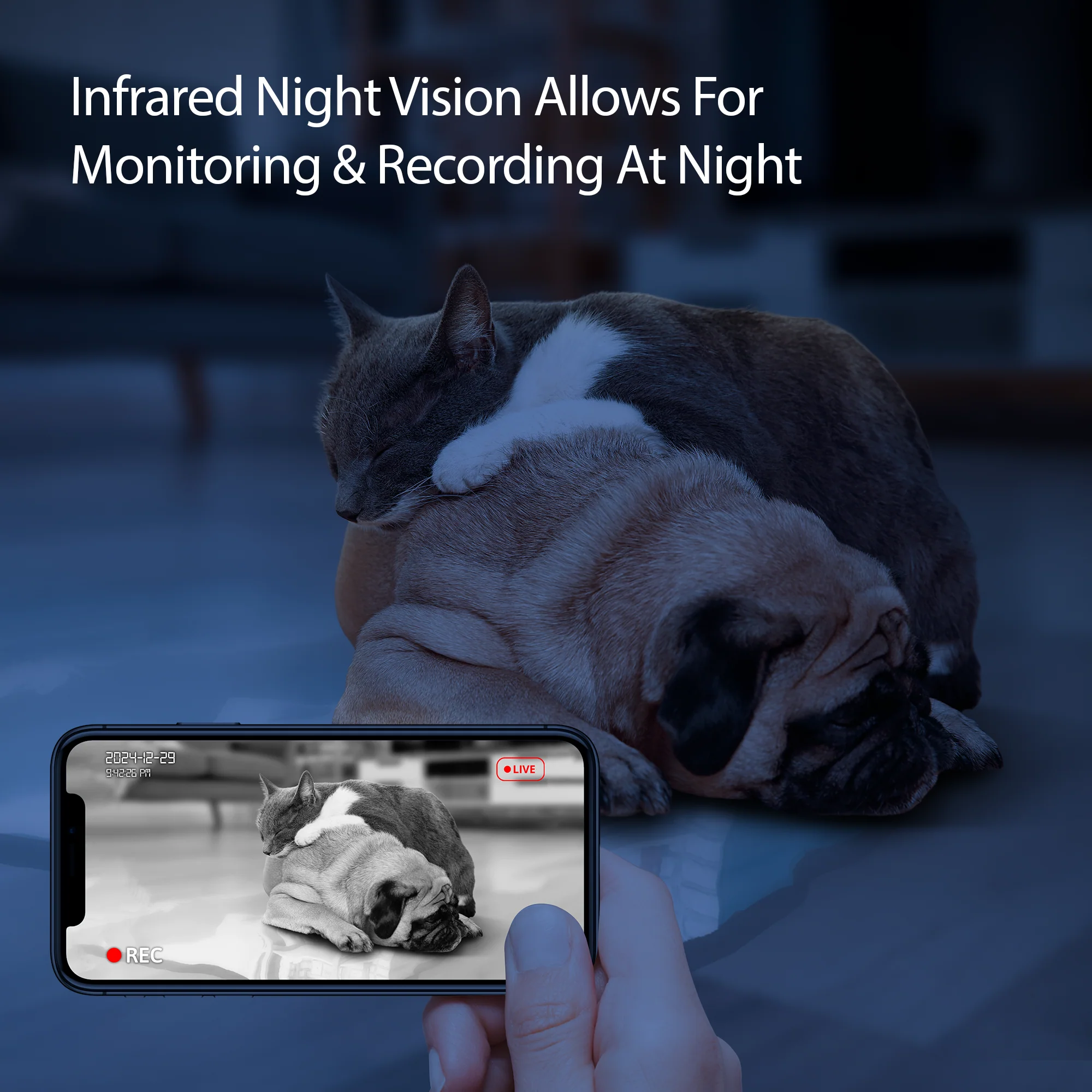 Smart 5GHz Wi-Fi 2K Video Camera Two-Way Audio Pet Feeder - Image 4